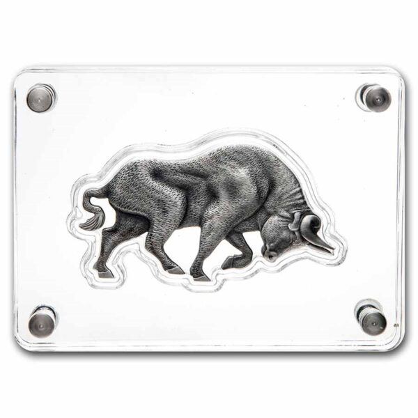 bulls moneda de plata para traders