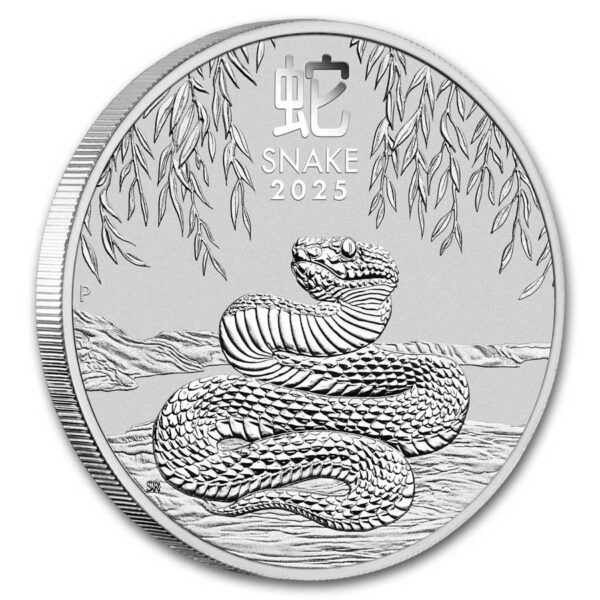 moneda de plata año de la serpiente 1 onza